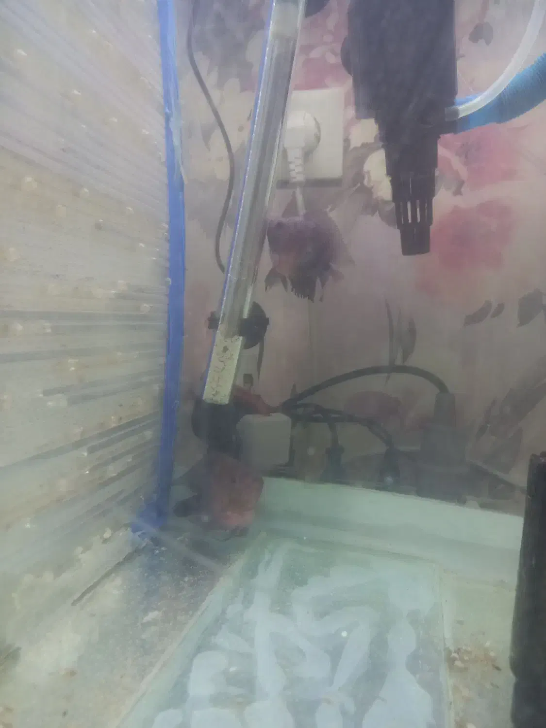 ماهی|ماهی|اصفهان, فرودگاه شهید بهشتی|دیوار