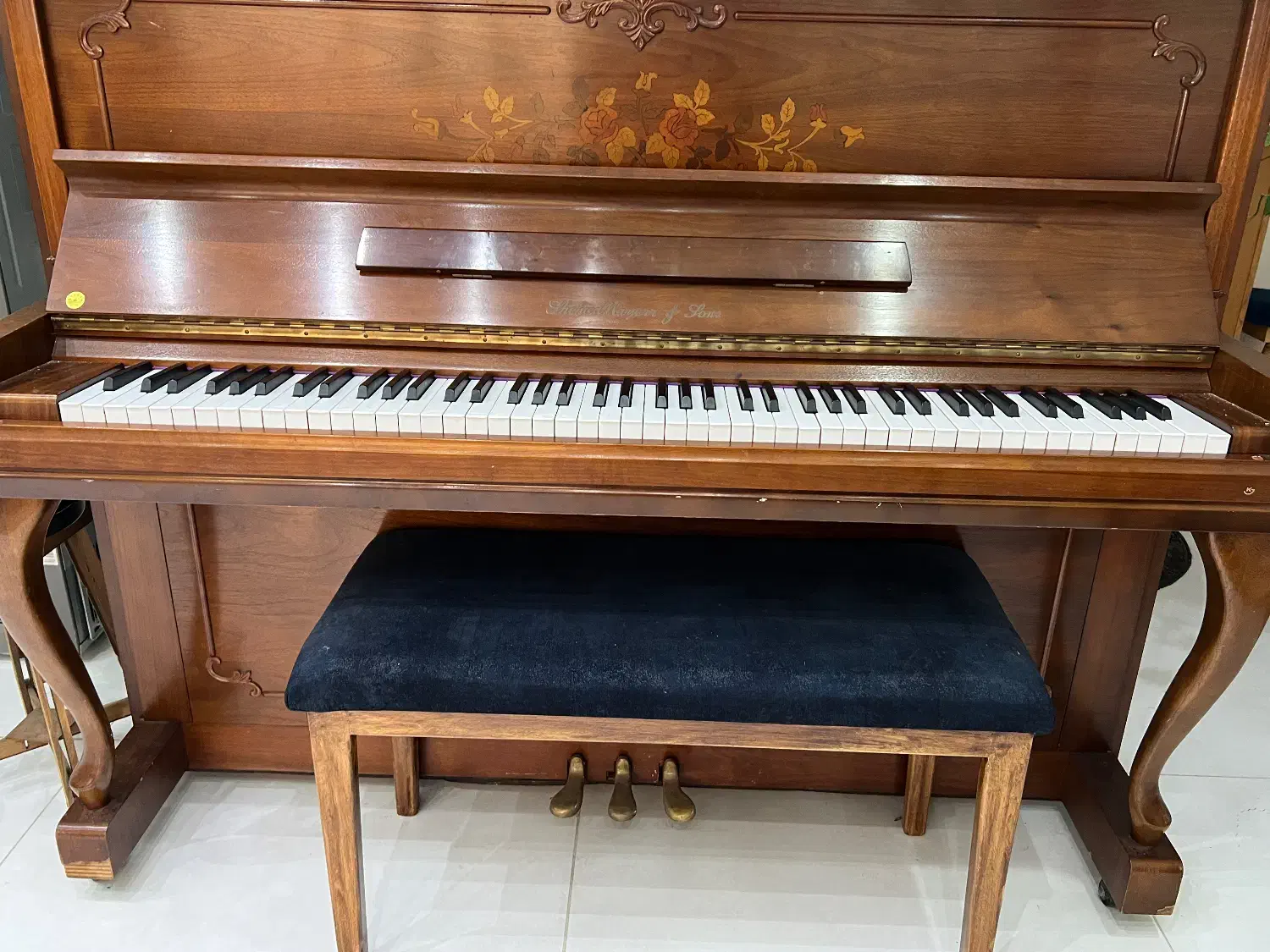 پیانو|پیانو، کیبورد، آکاردئون|شیراز, انجیر|دیوار