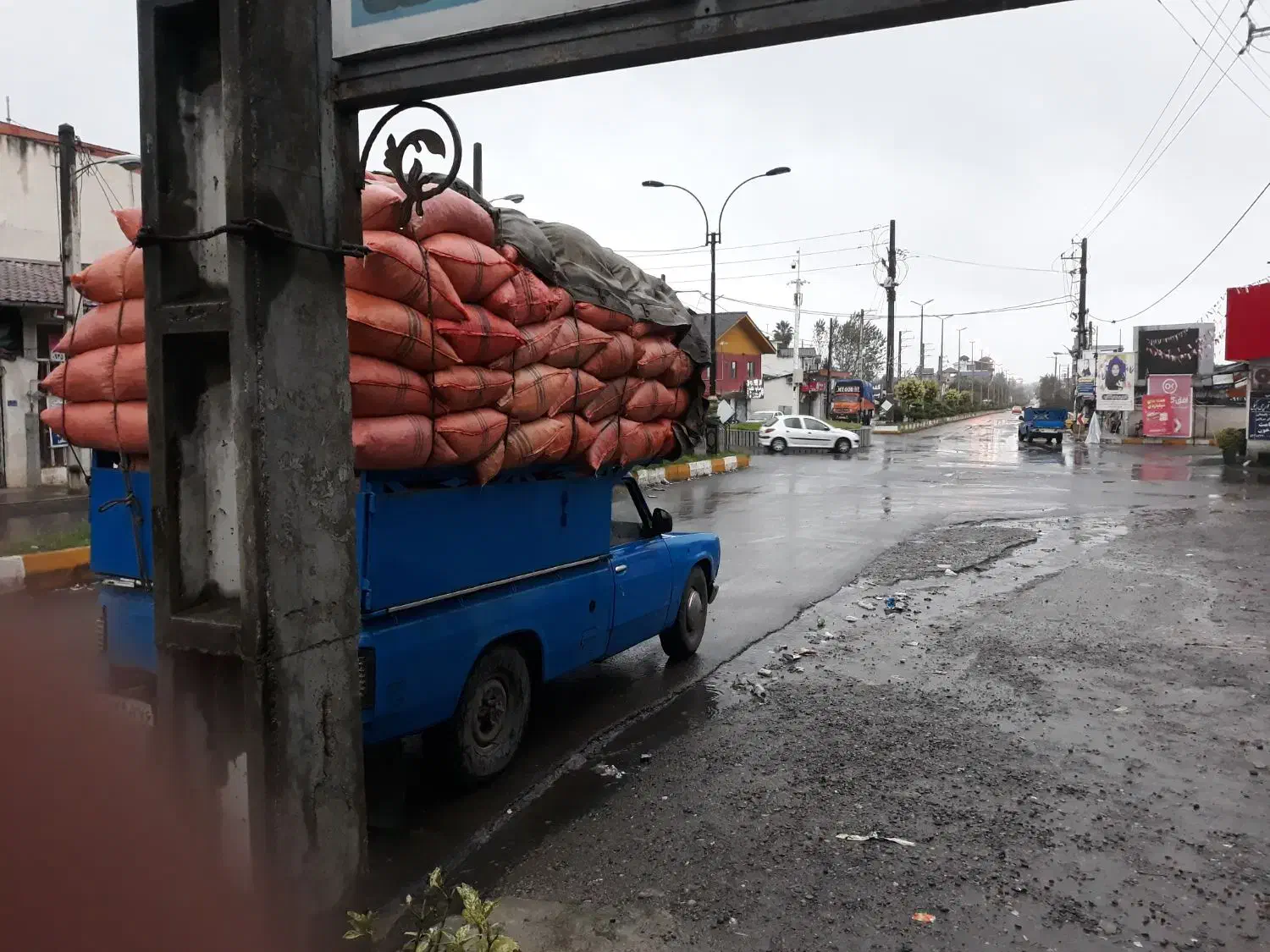 پوست بادام|گل و گیاه طبیعی|خرم‌آباد (تنکابن), |دیوار