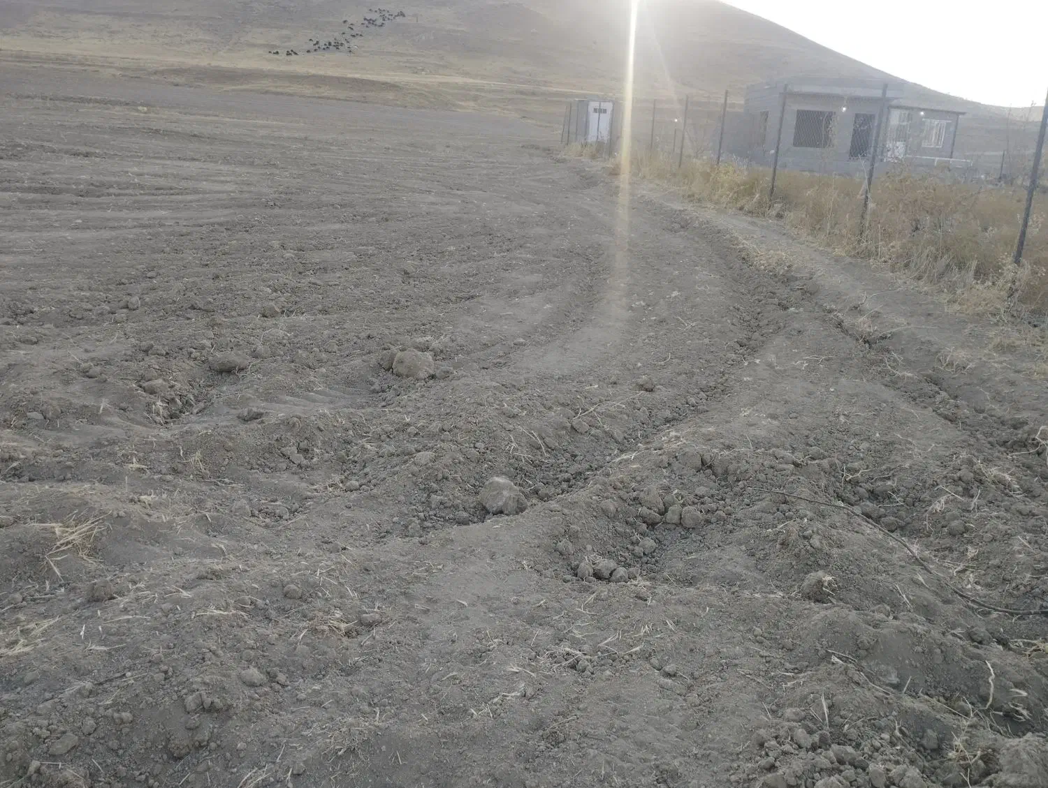 زمین خانه باغ سندثبتی یک طرف فنس|فروش زمین و ملک کلنگی|بوکان, |دیوار