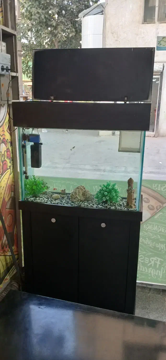 آکواریوم با تمامی وسایل|ماهی|محمدشهر, ولدآباد|دیوار