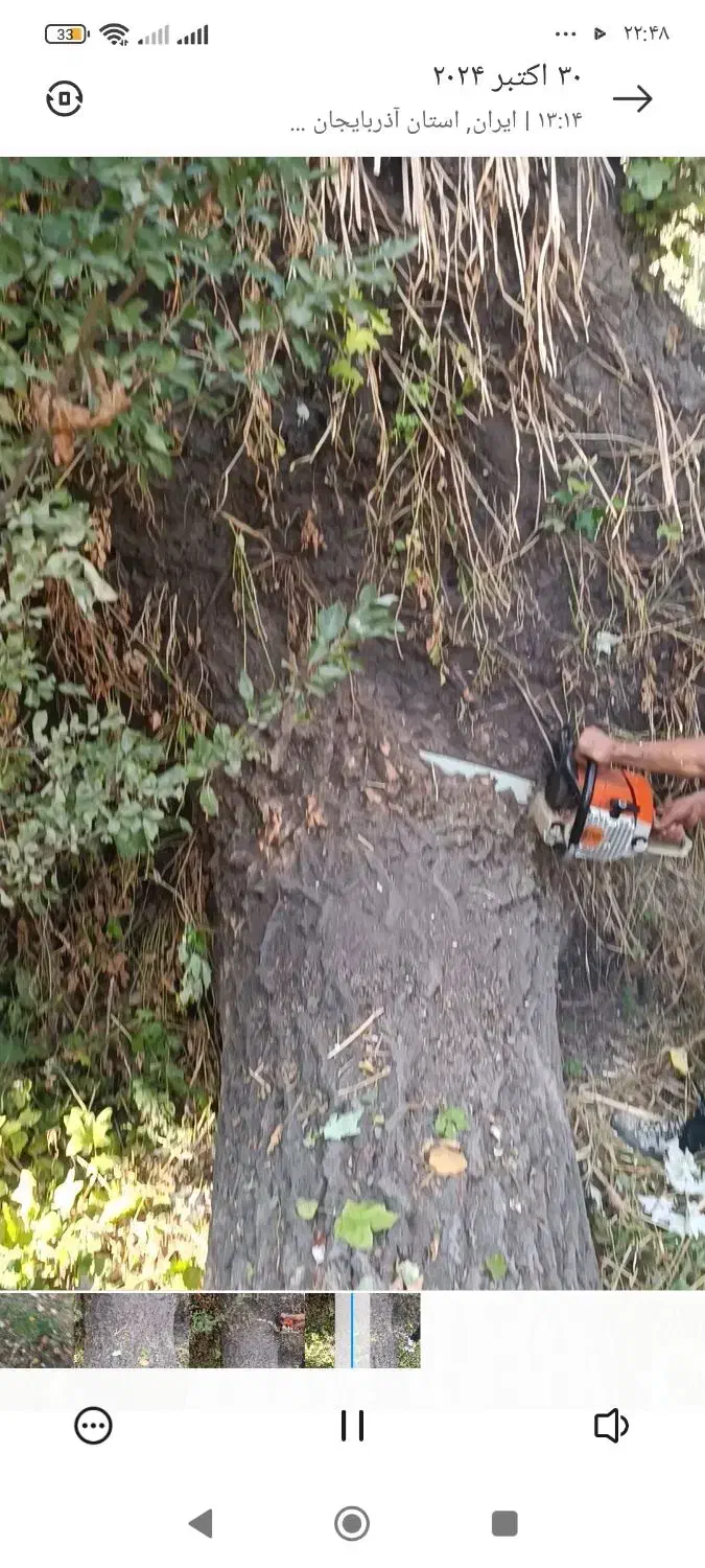 چوب بری|خدمات باغبانی و درختکاری|صوفیان, |دیوار