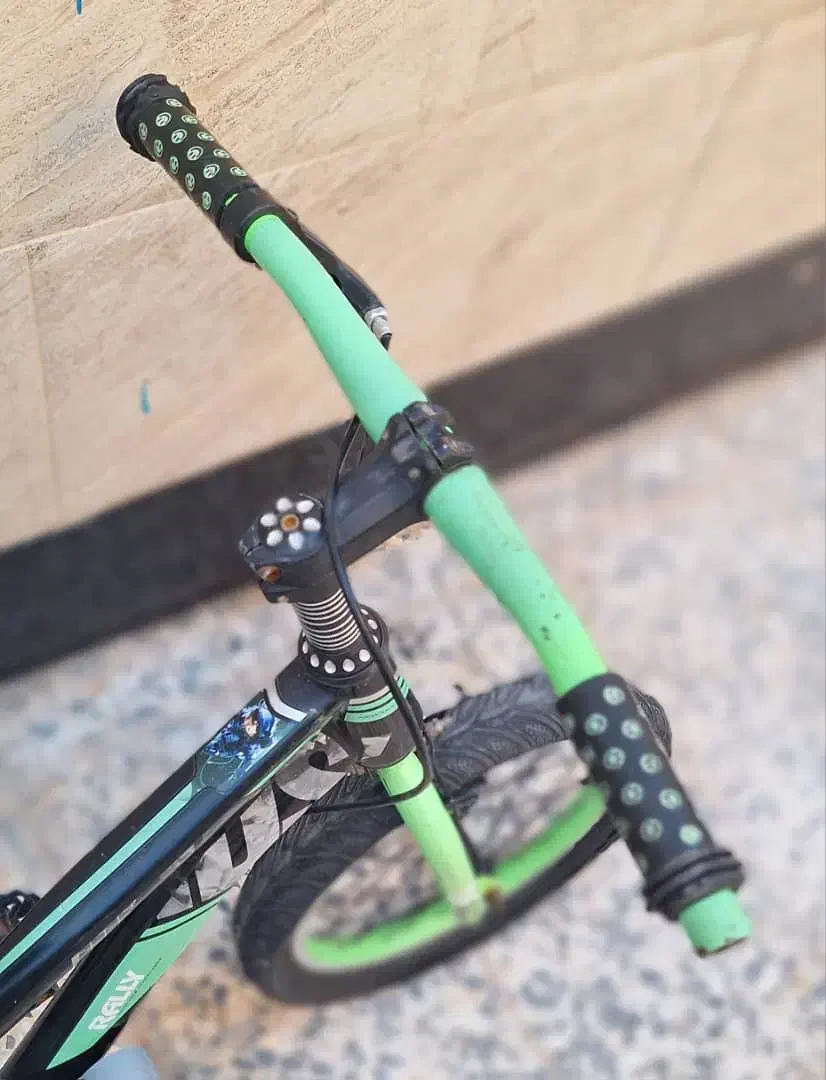 دوچرخه|دوچرخه، اسکیت، اسکوتر|دیلم, |دیوار