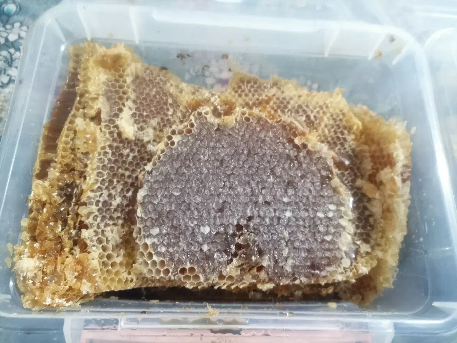 عسل طبیعی کوهستان|خوردنی و آشامیدنی|جوانرود, |دیوار