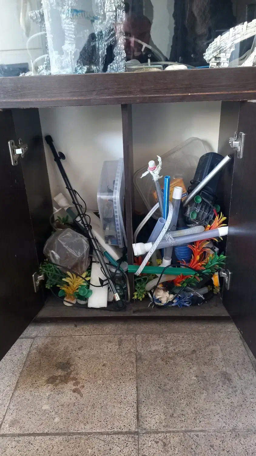 آکواریوم ماهی شیشه خم|ماهی|تهران, بیسیم|دیوار