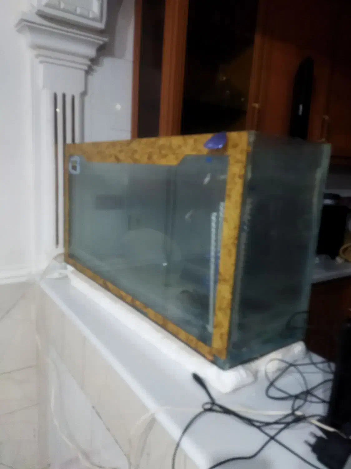 یک آکواریوم بفروش میرسد|ماهی|نیمروز, |دیوار