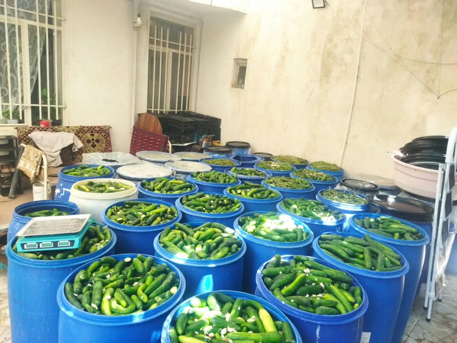 خیارشور عمده|خوردنی و آشامیدنی|کرمانشاه, |دیوار