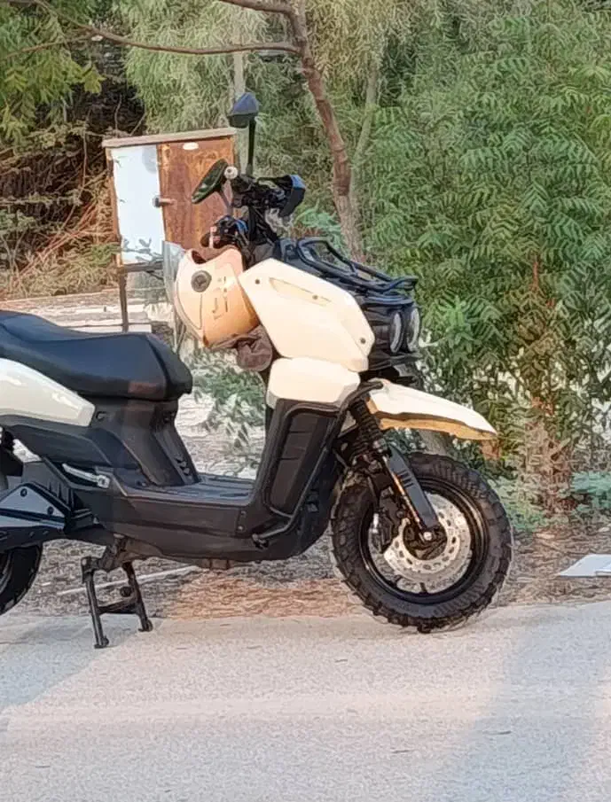 اجاره موتور|موتورسیکلت|کیش, |دیوار