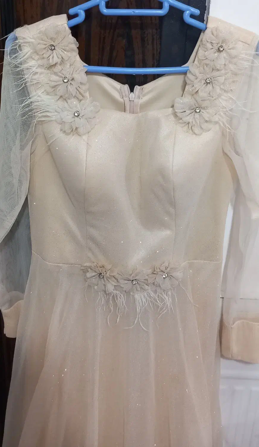 لباس مجلسی|لباس|دلند, |دیوار