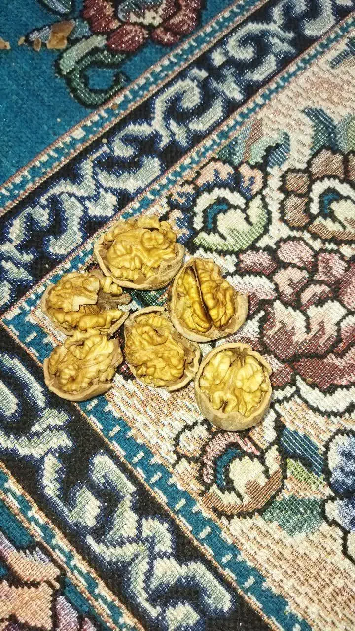 گردو لرستان  الشتر|خوردنی و آشامیدنی|قم, سالاریه|دیوار