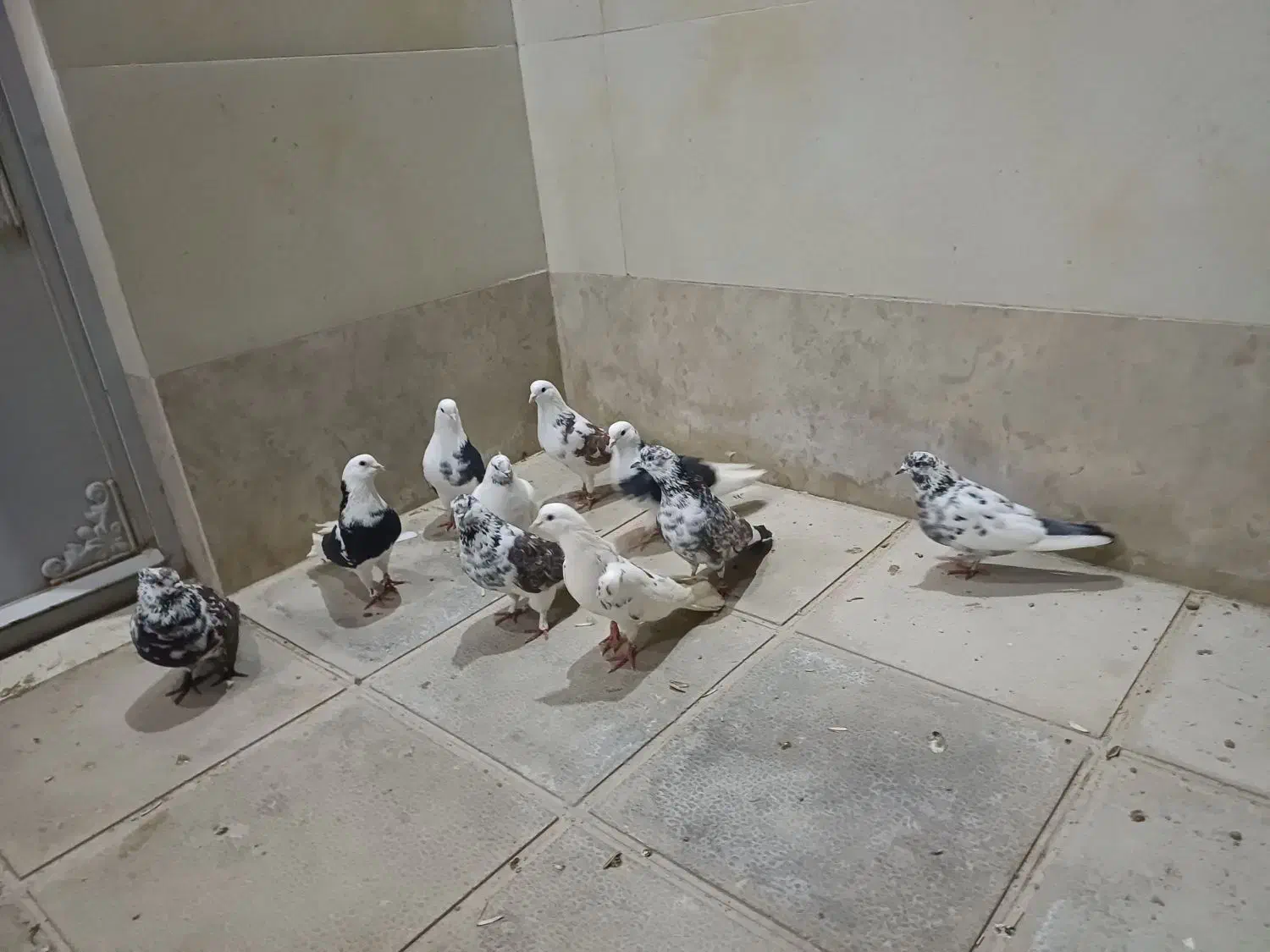 ساعت سنگین|ساعت|نورآباد, |دیوار