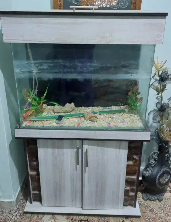 آکواریومشیشه خم|ماهی|کرج, حسینآباد|دیوار