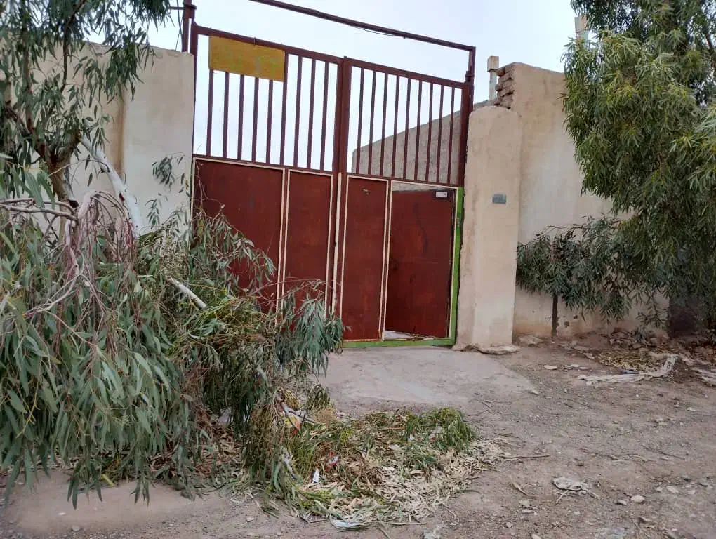 گاوداری600متردامشهرتکمیل3نبش نزدیک میدان|فروش دفتر صنعتی، کشاورزی، تجاری|قم, صفائیه|دیوار