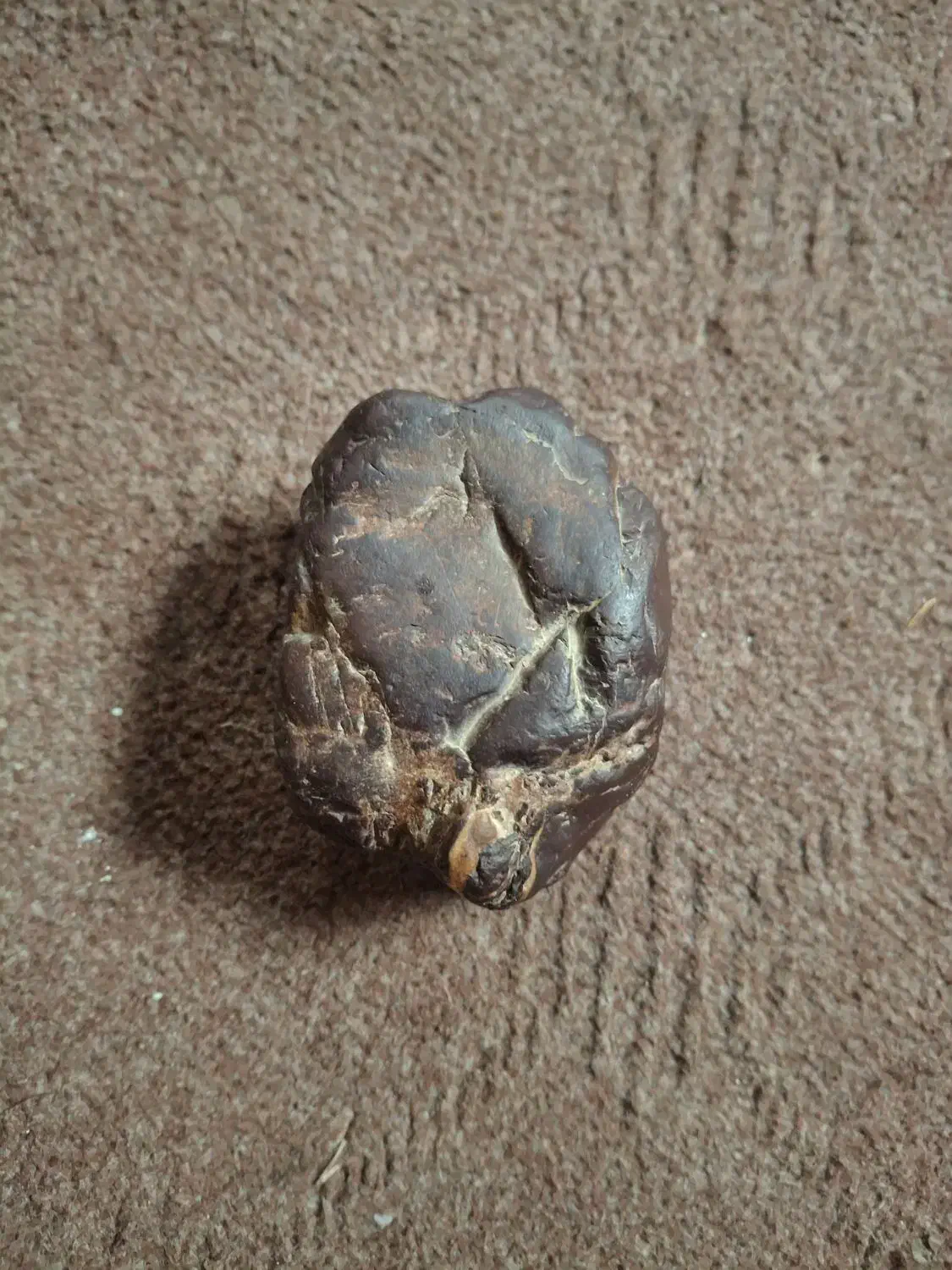 شهاب سنگ|جواهرات|علی‌آباد کتول, |دیوار