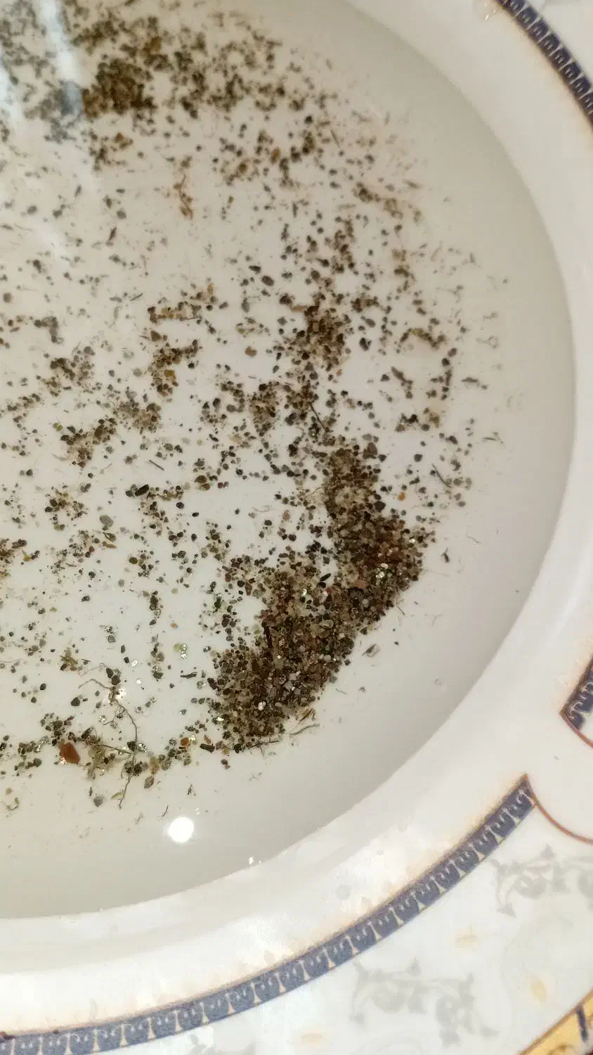 سنگ|کلکسیون اشیاء عتیقه|پارسآباد, |دیوار