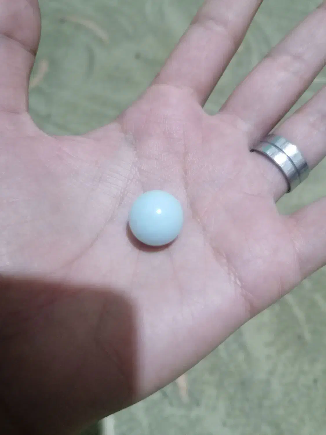 حراج شده|حراج|علامرودشت, |دیوار