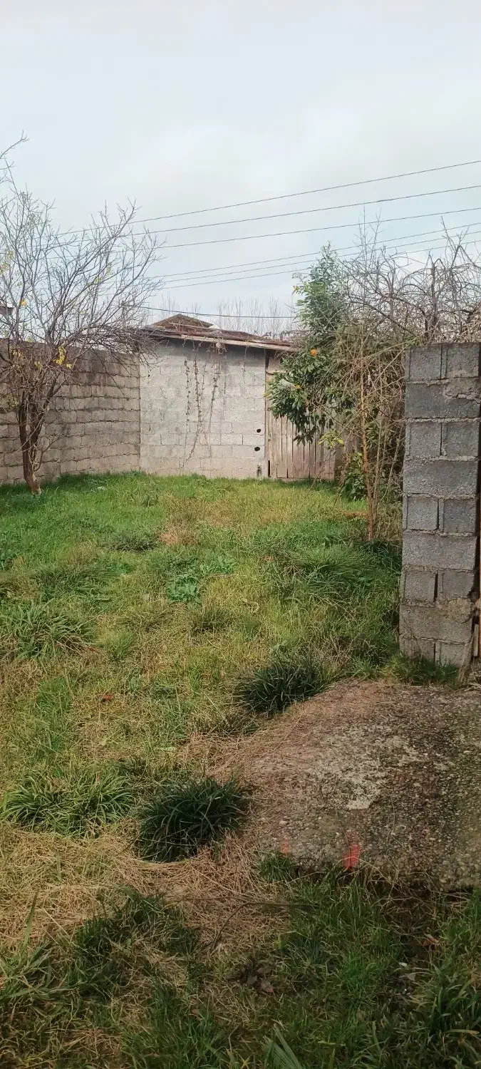 زمین مسکونی|فروش زمین و ملک کلنگی|زیباکنار, |دیوار