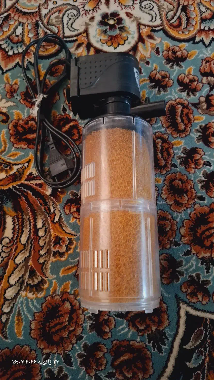 تسویه آکواریوم|ماهی|آبیک, |دیوار