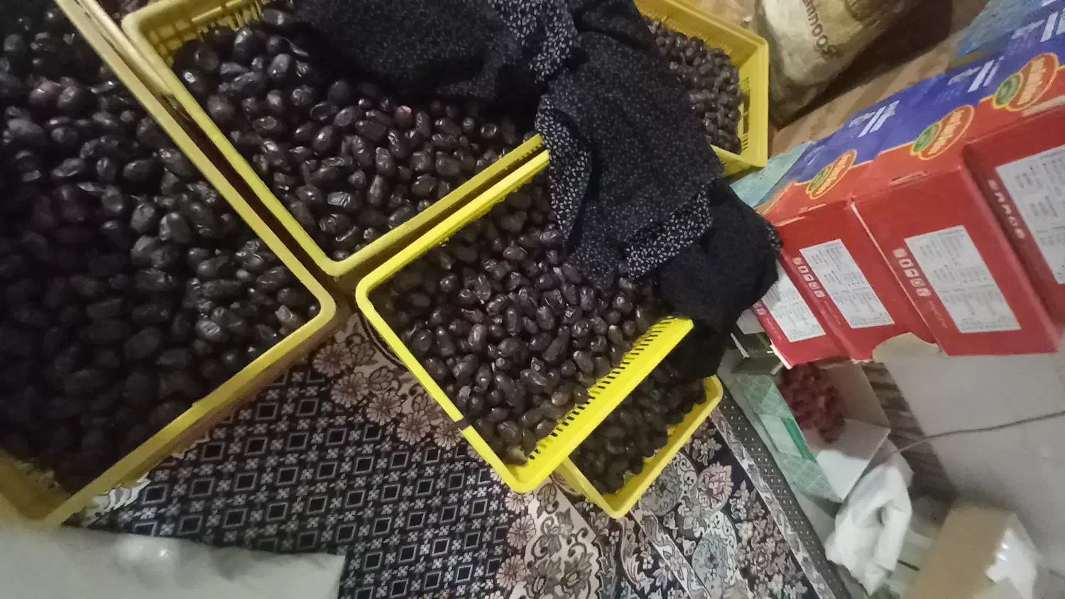 اجاره باغ ۴ساله|اجارهٔ دفتر صنعتی، کشاورزی، تجاری|نگین کویر, |دیوار