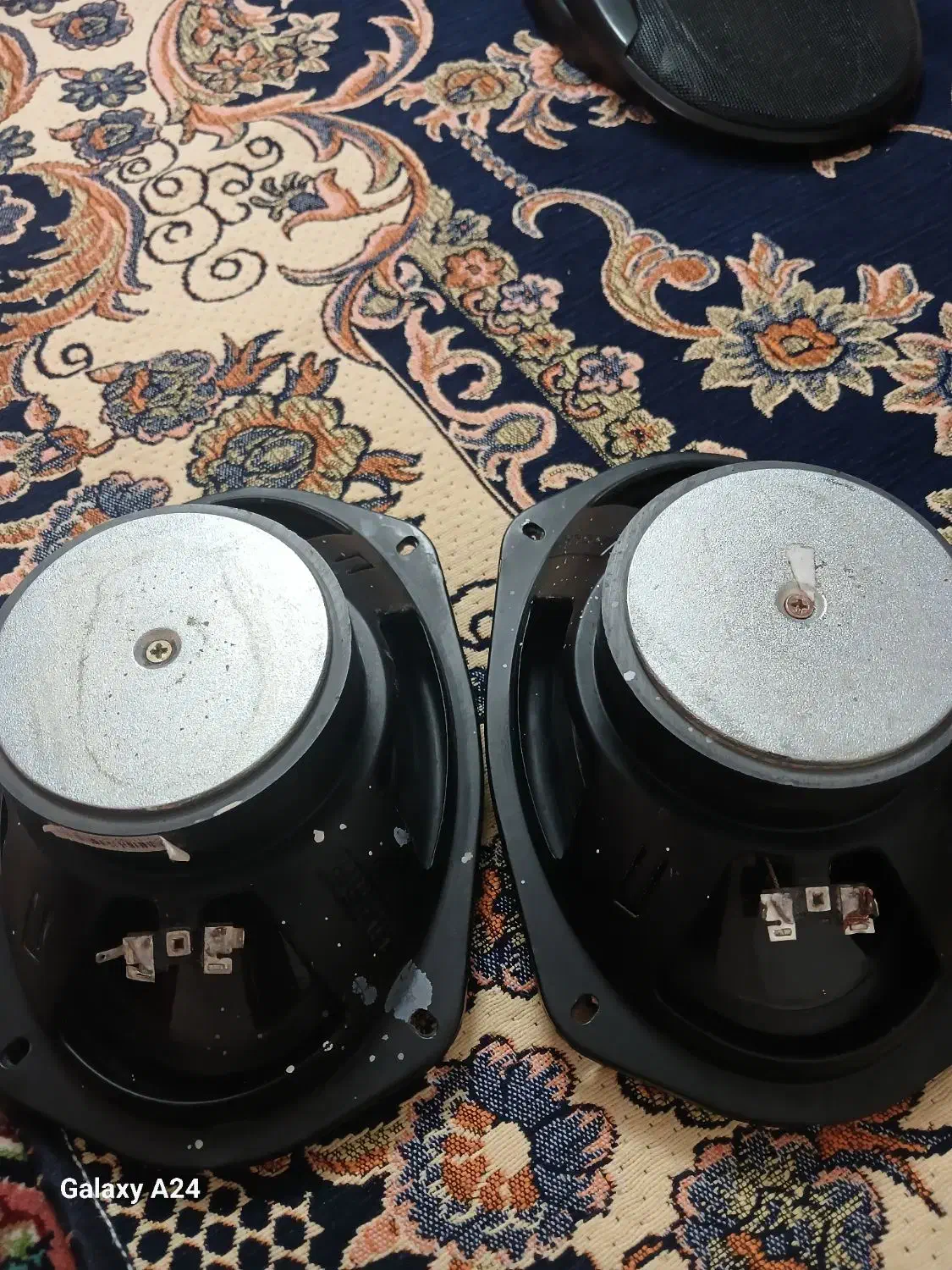 کفش|کیف، کفش، کمربند|سبزوار, امام خمینی (ناوی)|دیوار