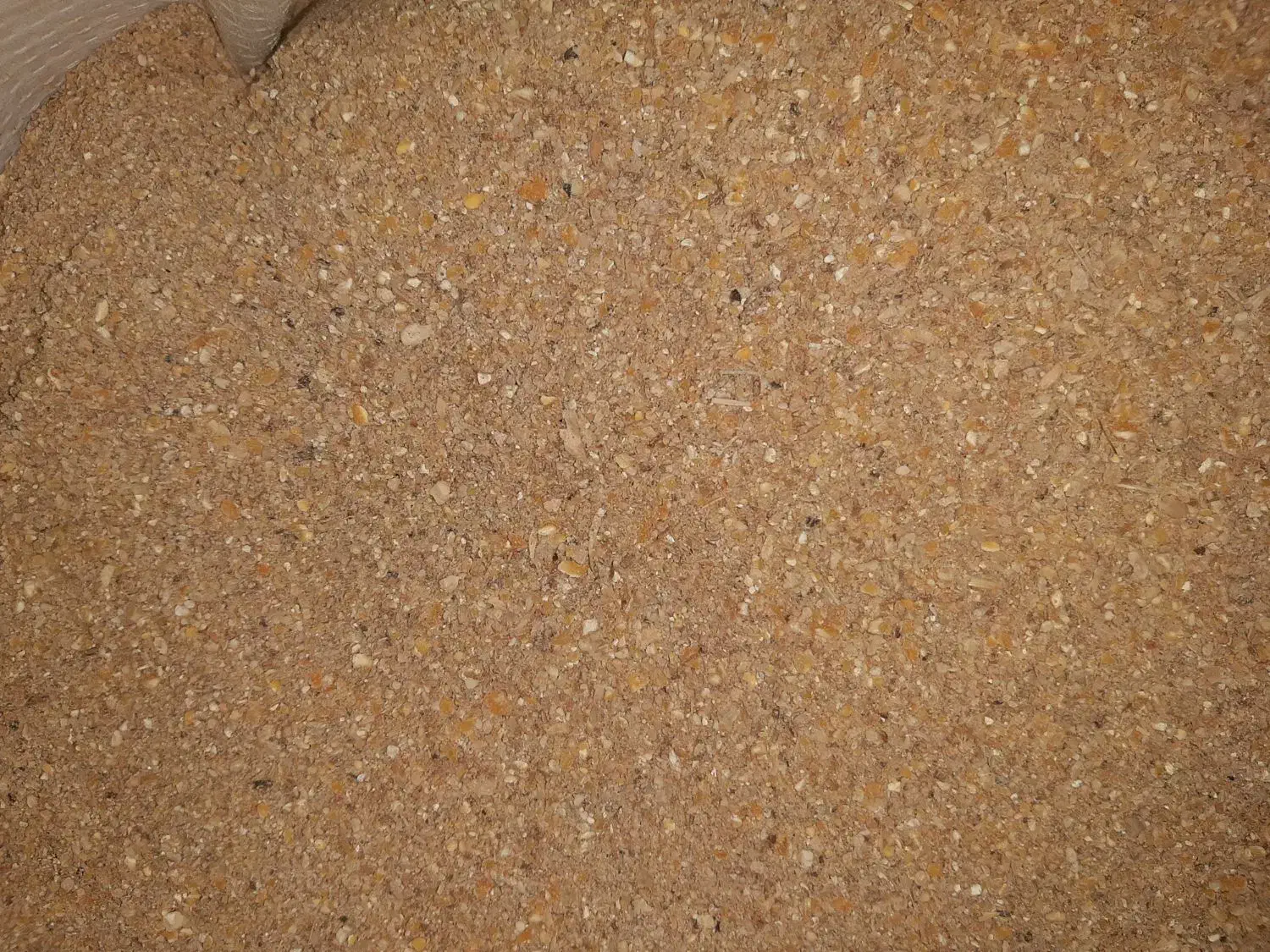 دان مرغ تخمگذار|حیوانات مزرعه|قنوات, |دیوار