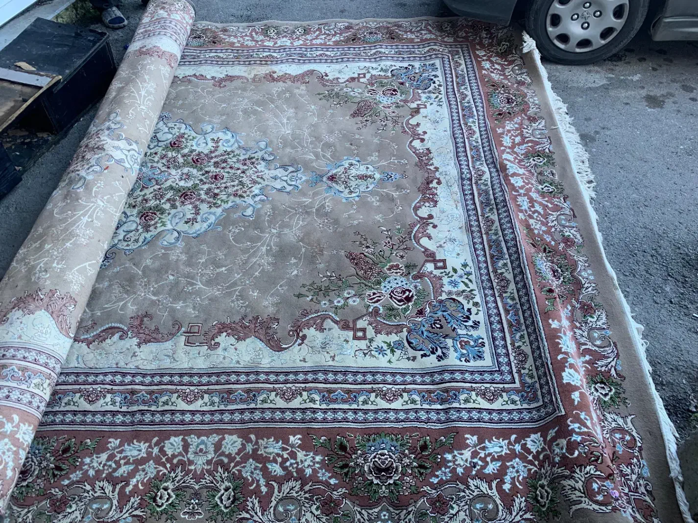 فرش ۱۲متری|فرش|چالوس, |دیوار