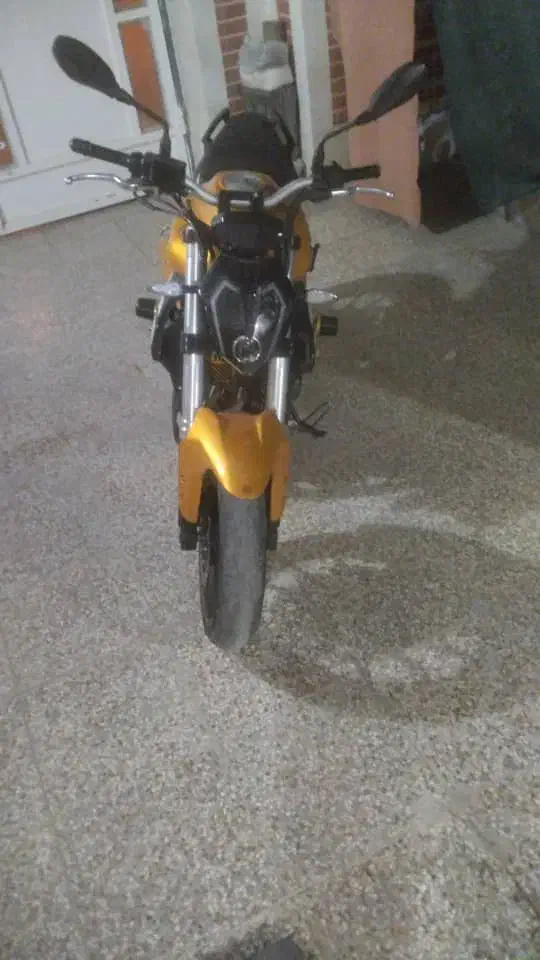 بنلی۳۰۰ فروش یامعاوضه|موتورسیکلت|کرمان, |دیوار