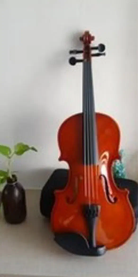 آموزش ویالون کلاسیک با نوجوان|خدمات آموزشی|صدرا-فارس, فاز ۱|دیوار