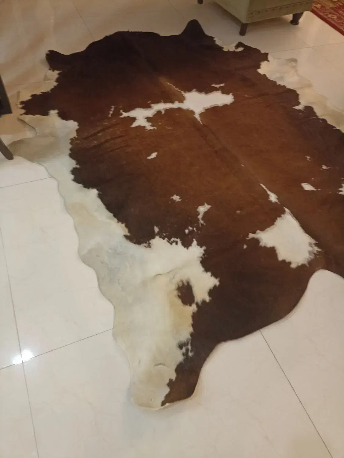 فرش پوست گاو چرم طبیعی|فرش|مشهد, وکیلآباد|دیوار