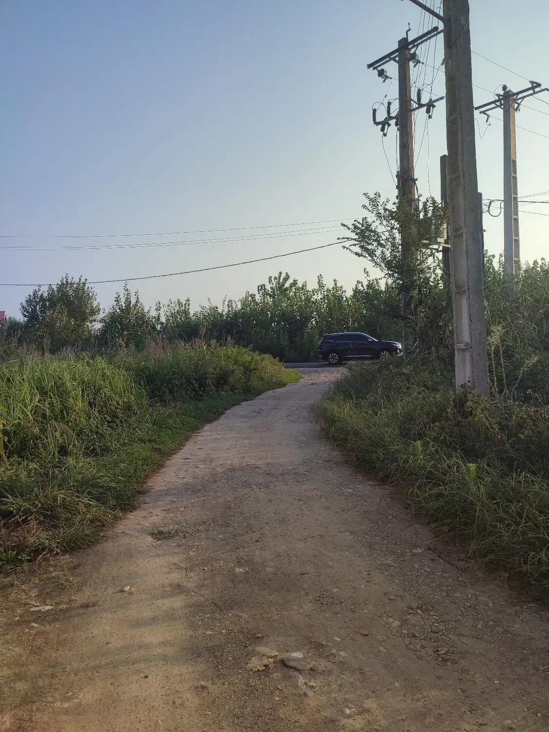 زمین، رشت، گلزاران، 124متری|فروش زمین و ملک کلنگی|رشت, گلزاران|دیوار