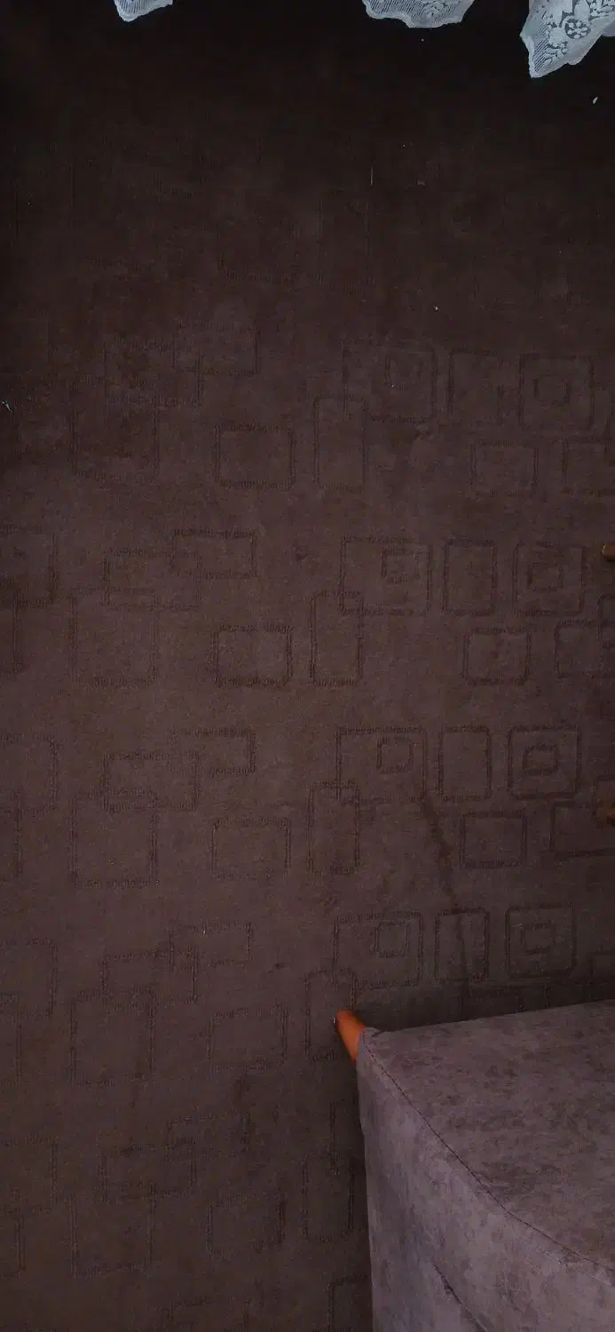 موکت|موکت|اردبیل, |دیوار