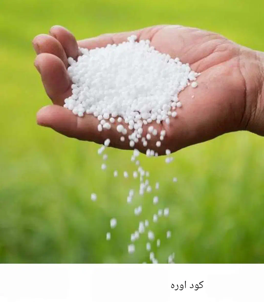 کود اوره|عمده‌فروشی|جوانرود, |دیوار