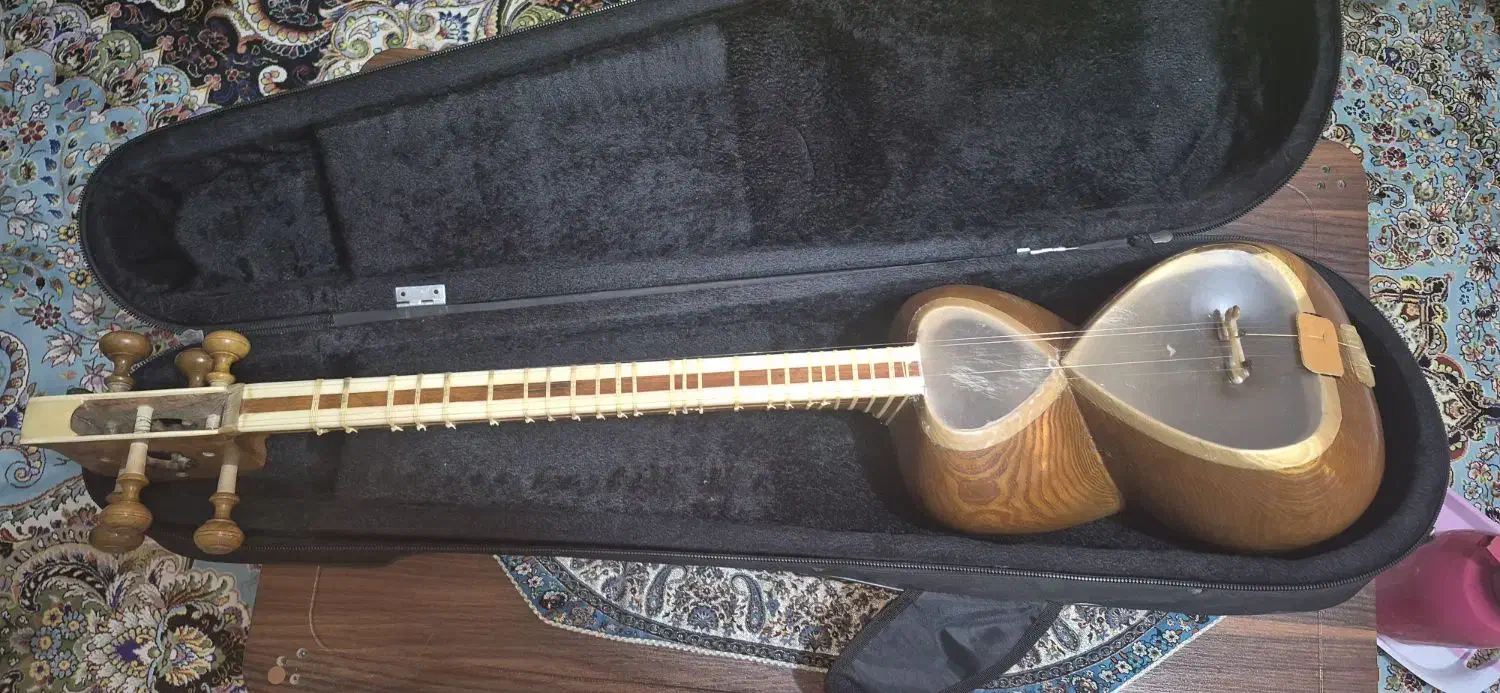 تار باصدای عالی بسیار خوش صدا به شرط کارشناسی|سازهای سنتی|دزفول, |دیوار