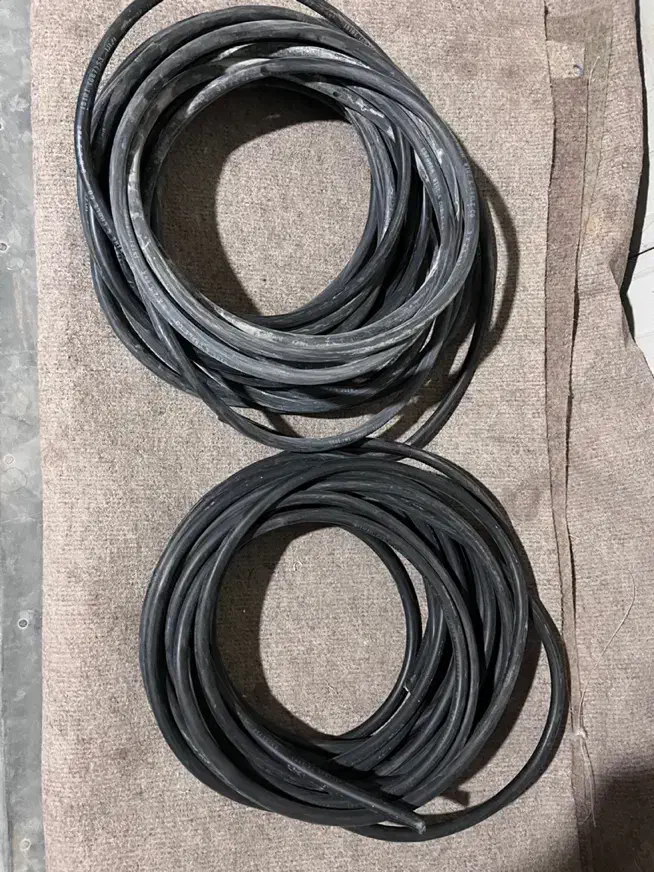 معاوضه کبوتر دمگیر خرقه با کابل برق|پرنده|برخوار, |دیوار