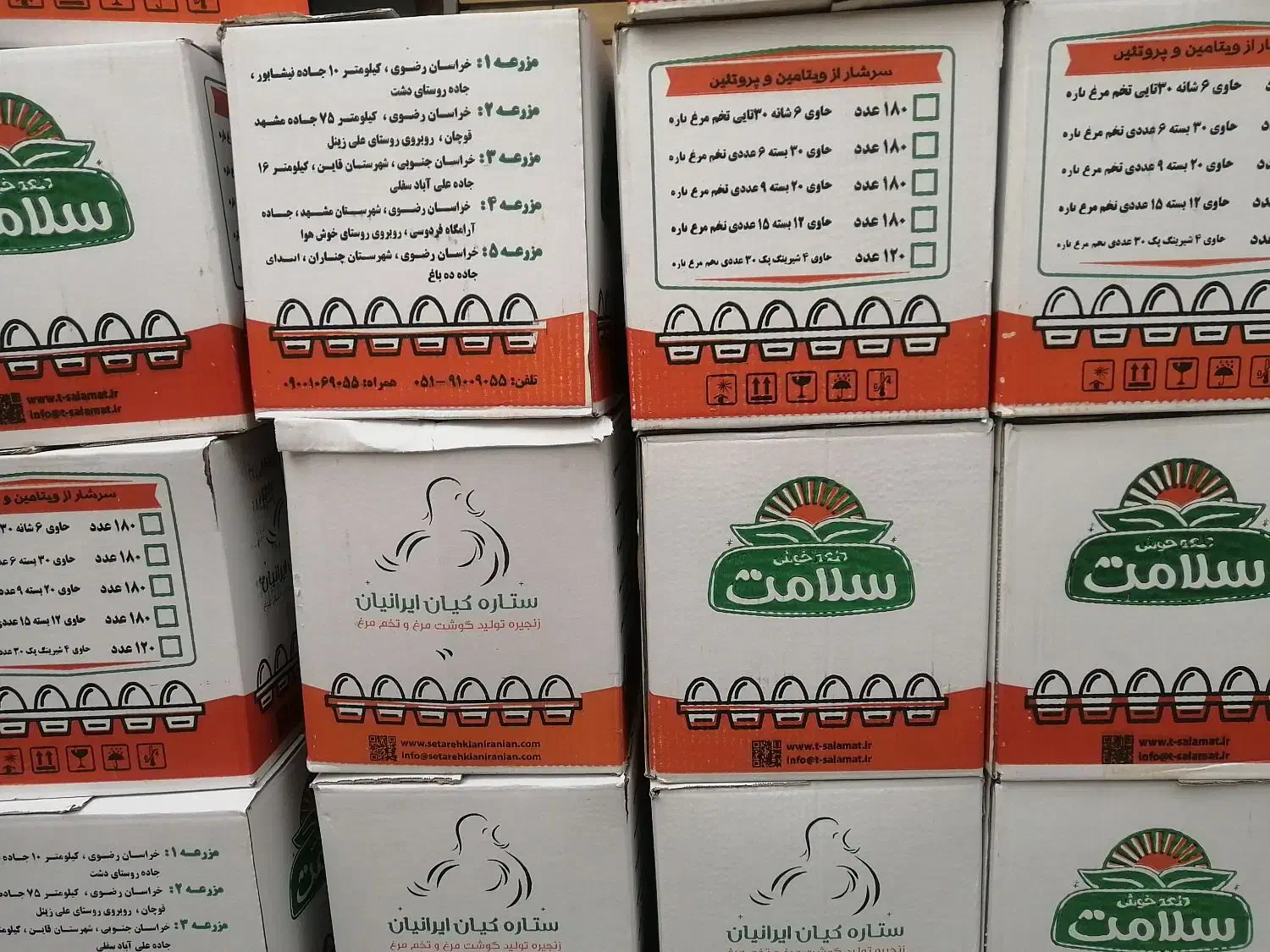 تخم مرغ|خوردنی و آشامیدنی|مشهد, نیروی هوایی|دیوار