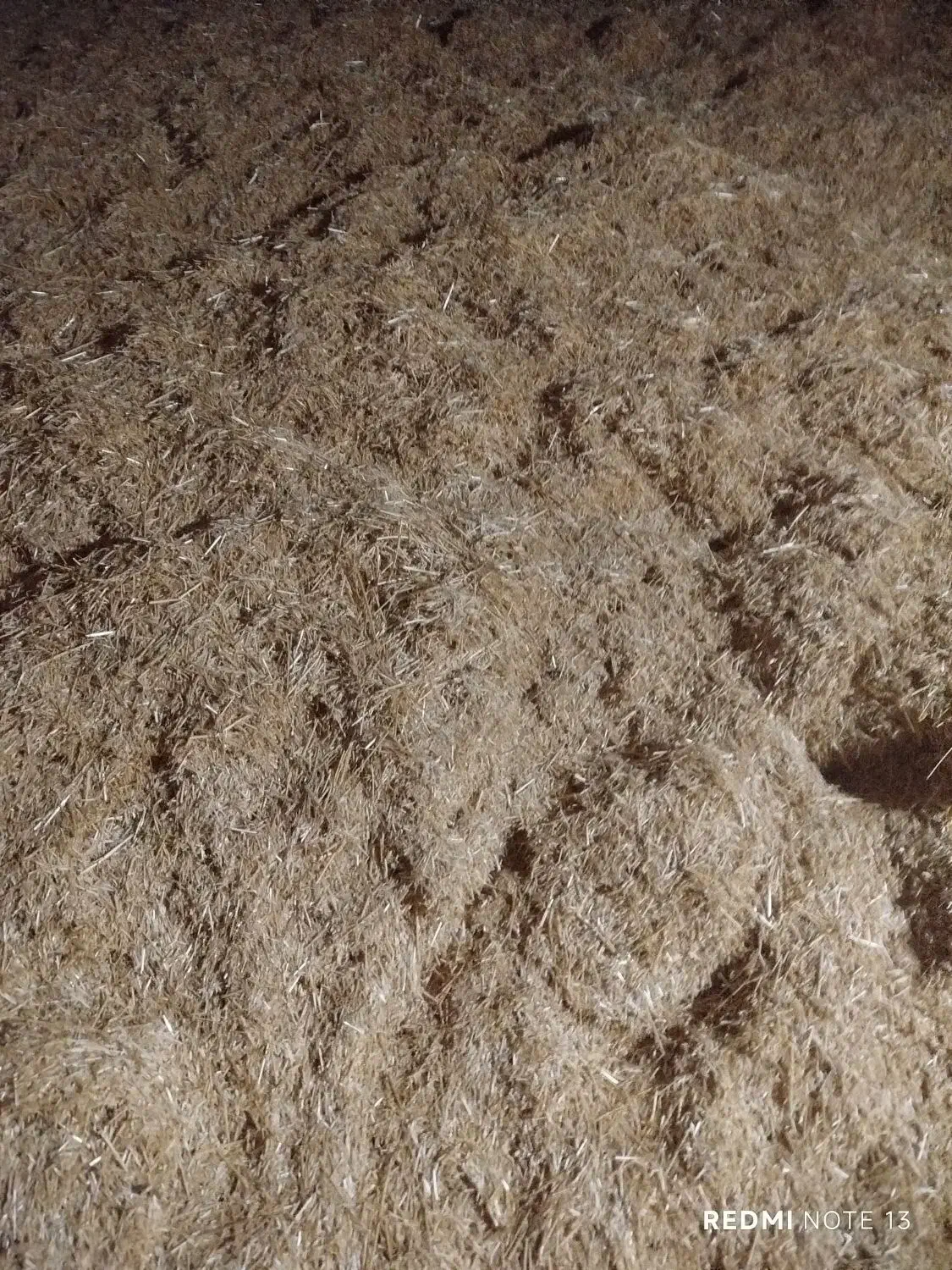 کاه دیم|لوازم جانبی حیوانات|خنجین, |دیوار