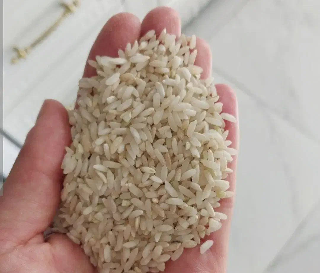 برنج محلی دانه بلند|عمده‌فروشی|ارژن, |دیوار