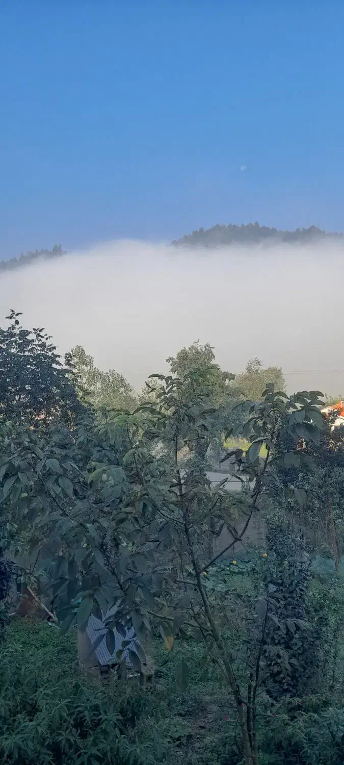 ویلاجنگلی  در دل طبعیت|اجارهٔ خانه و ویلا|ماسال, |دیوار