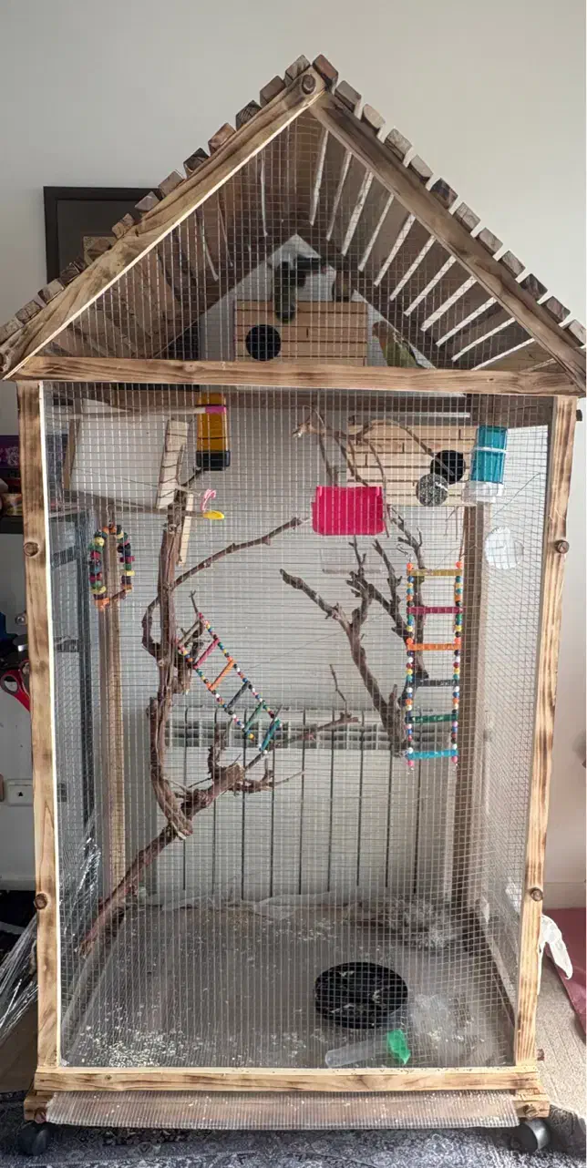 قفس با پرنده|لوازم جانبی حیوانات|تهران, چوب تراش|دیوار