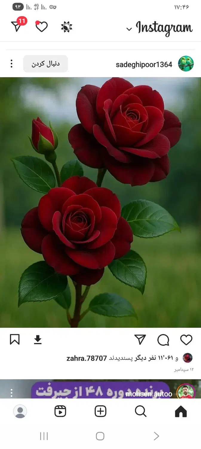 دوتا فیش حج عمره که موعدش فرا رسیده|تور و چارتر|مرودشت, ژیان|دیوار