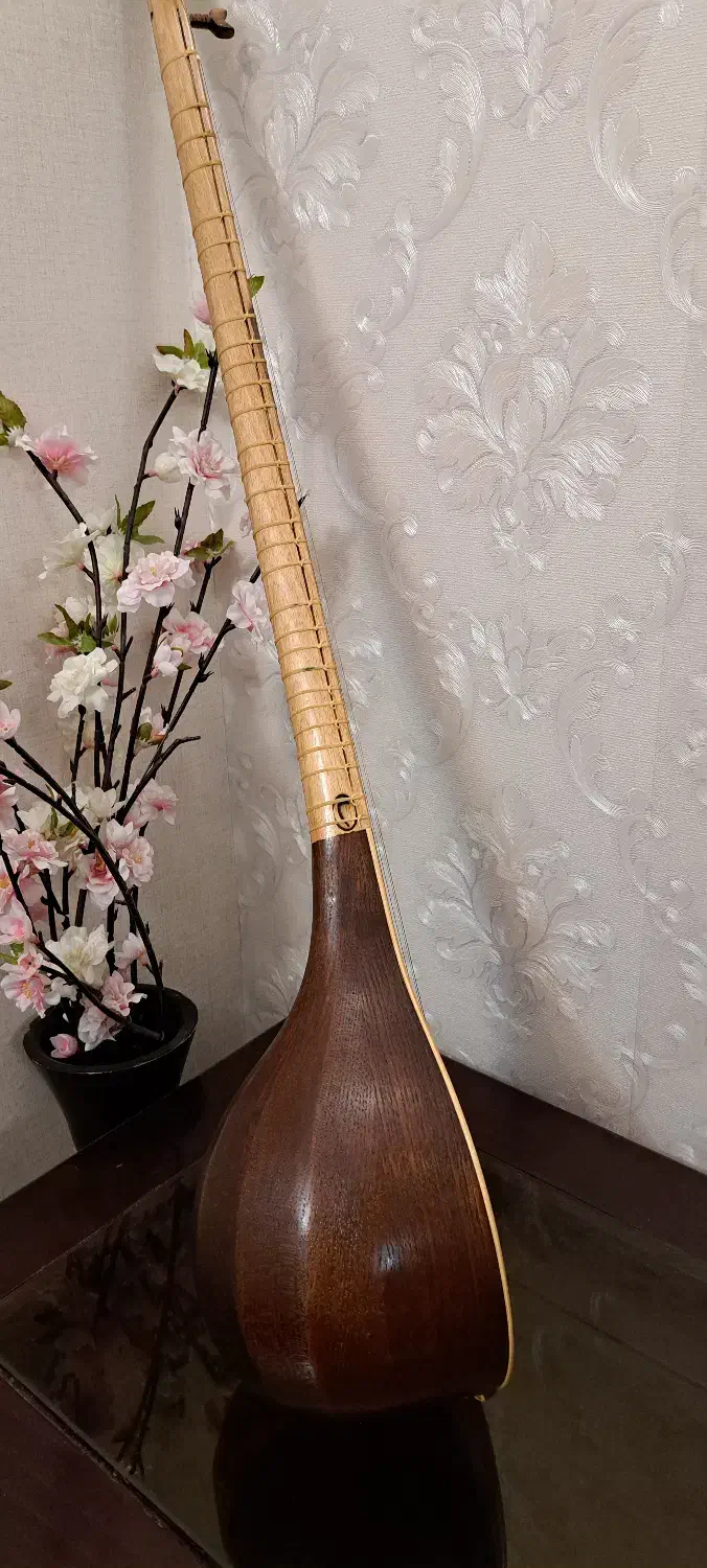 سه تار در حد نو|سازهای سنتی|تهران, پونک|دیوار