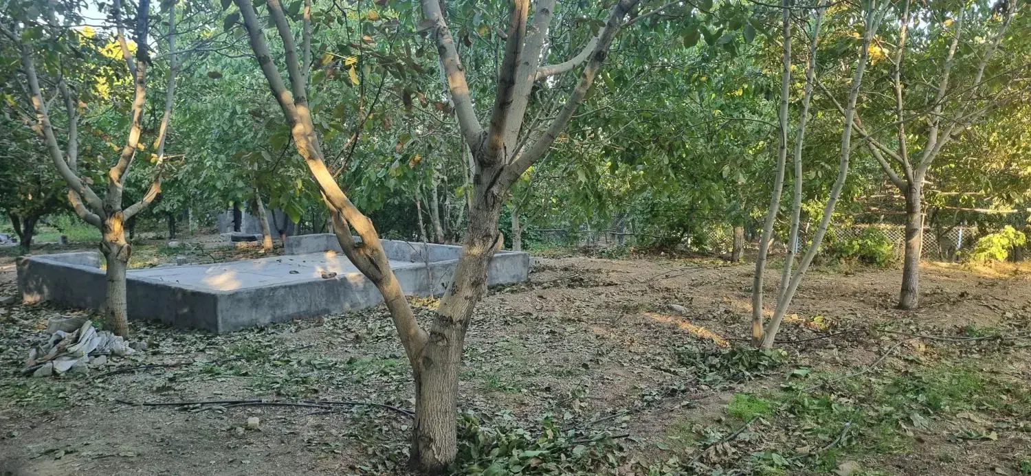 باغ گردو و میوه محصور|فروش زمین و ملک کلنگی|شهرکرد, |دیوار