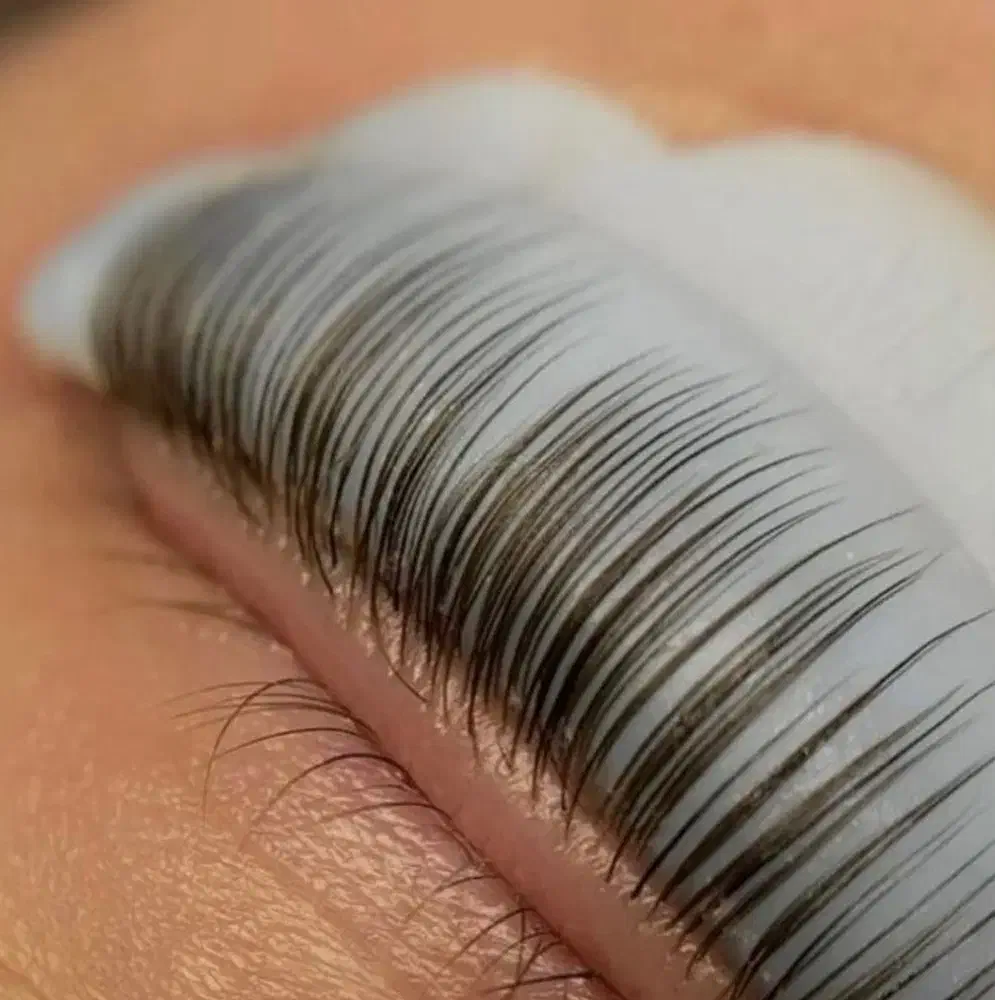 مدل رایگان|خدمات آرایشگری و زیبایی|رشت, معلم|دیوار