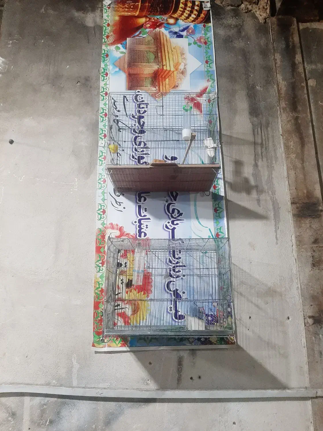 قفس|لوازم جانبی حیوانات|اراک, |دیوار