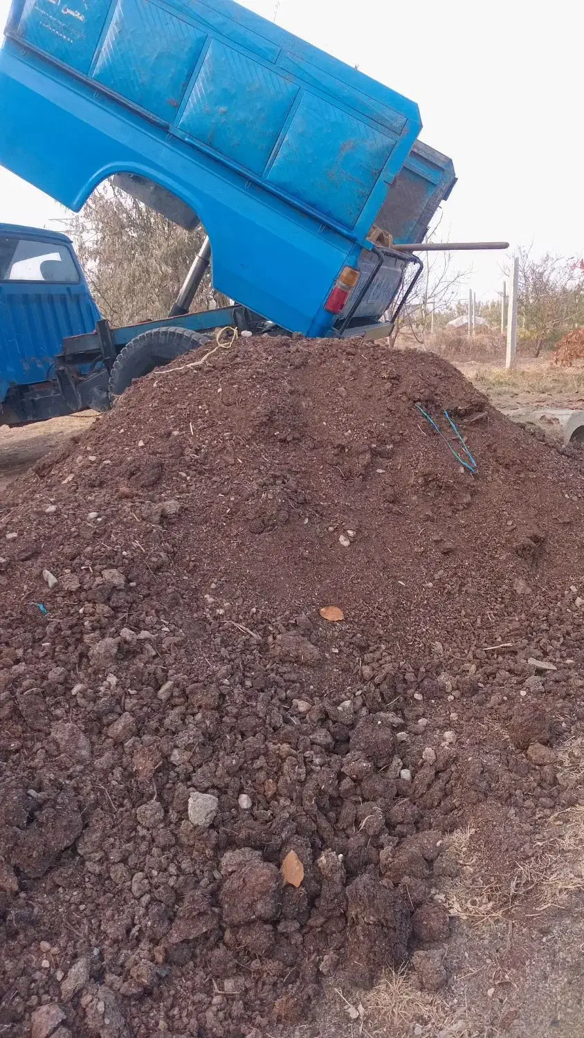 کود حیوانی|خدمات باغبانی و درختکاری|انزل, |دیوار