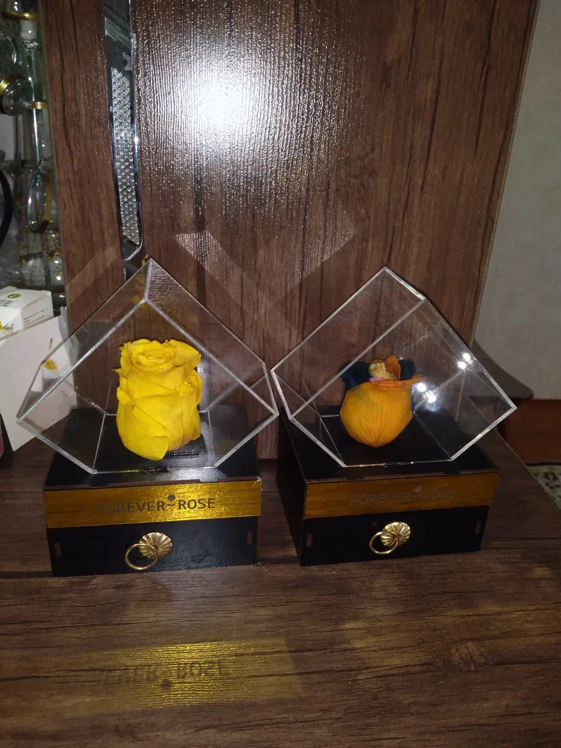 گل جاودان رنگی|گل و گیاه طبیعی|قرچک, محمد آباد|دیوار