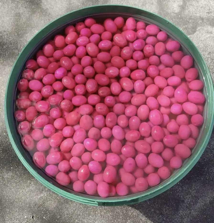 زیتون ویژه|خوردنی و آشامیدنی|شیراز, بازار|دیوار