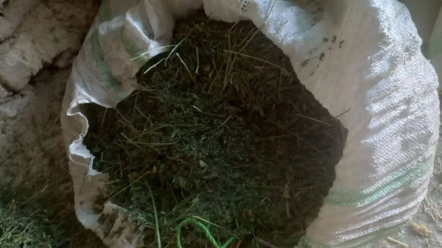 کاه یونجه چن چهار|لوازم جانبی حیوانات|بروجرد, |دیوار