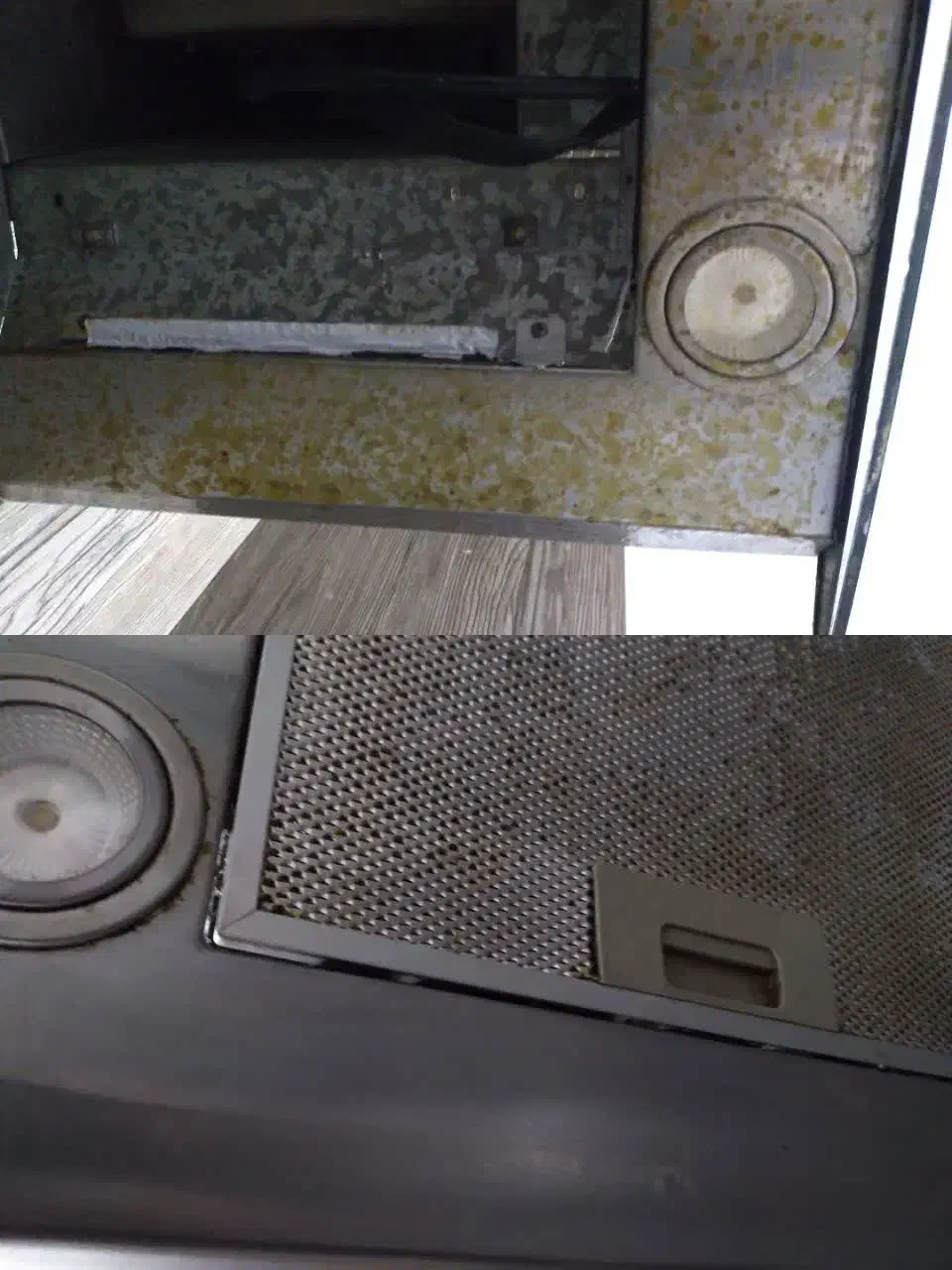 جرمگیر و چربی زدا|مواد شوینده و دستمال کاغذی|مشهد, ایثارگران|دیوار