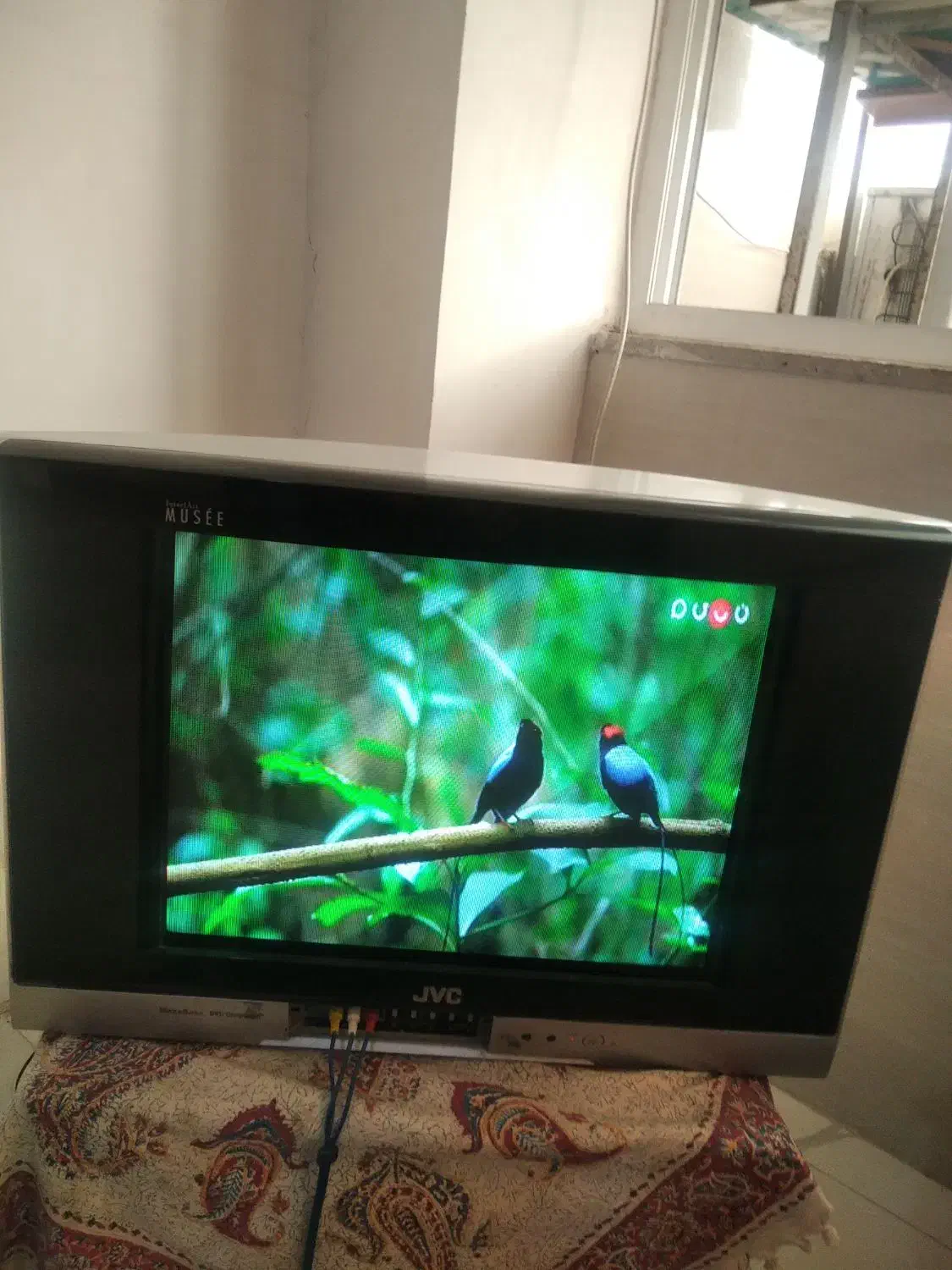 فروش فوری تلویزیون رنگی ۲۱اینچ|تلویزیون و پروژکتور|اصفهان, جاوان|دیوار